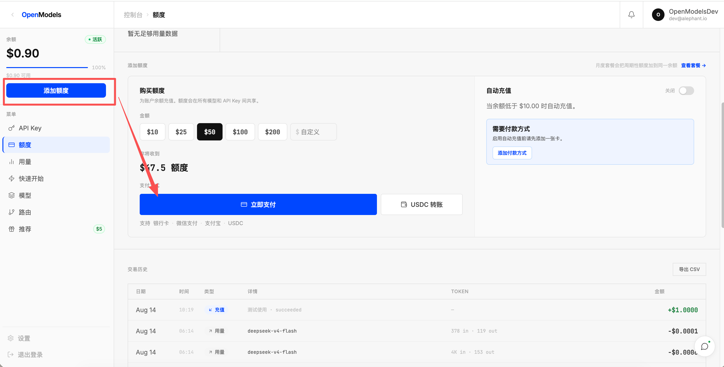 OpenModels Credits page showing the Add Credits and Pay Now controls