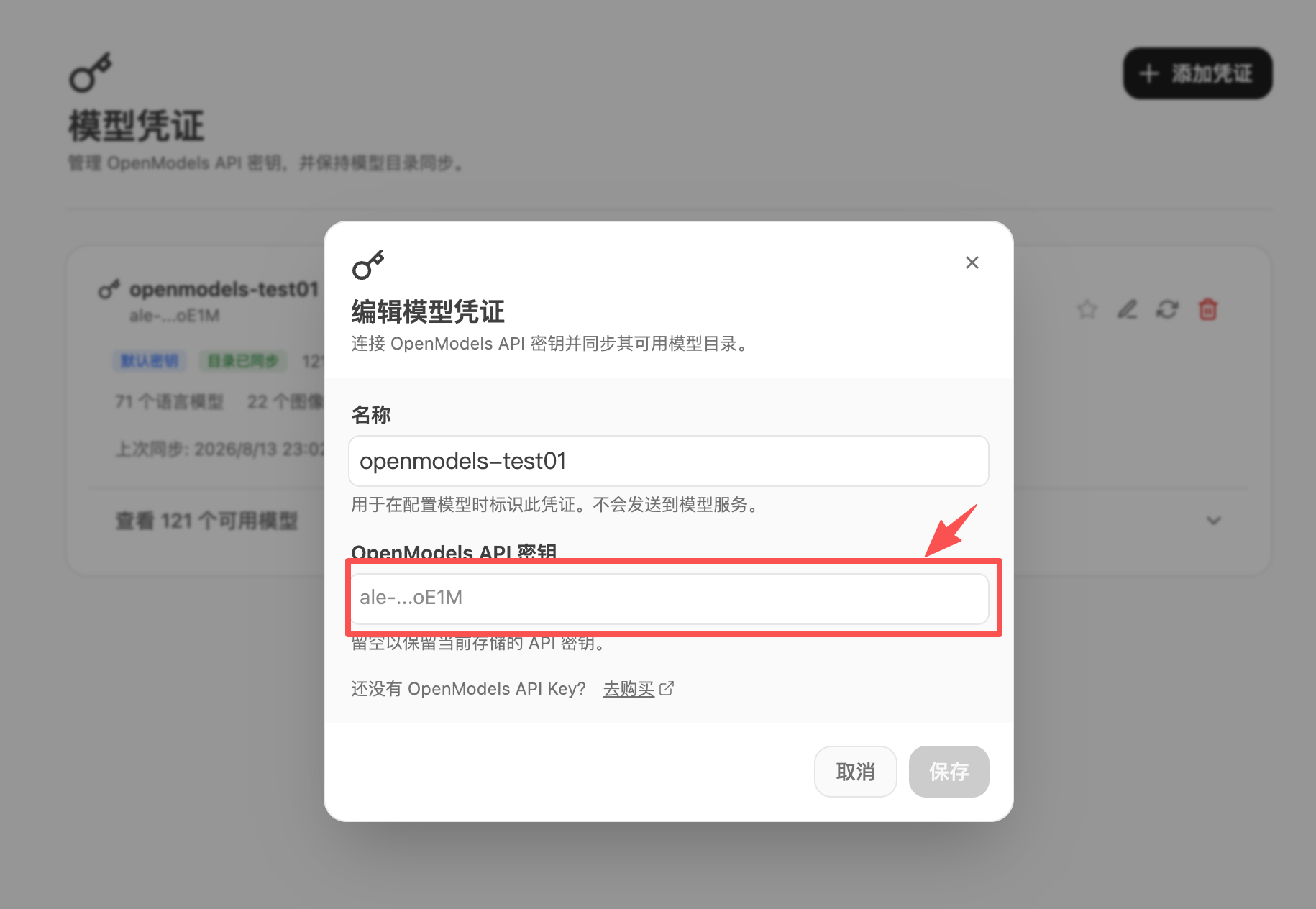 AIvis Edit Model Credential dialog showing the OpenModels API Key input