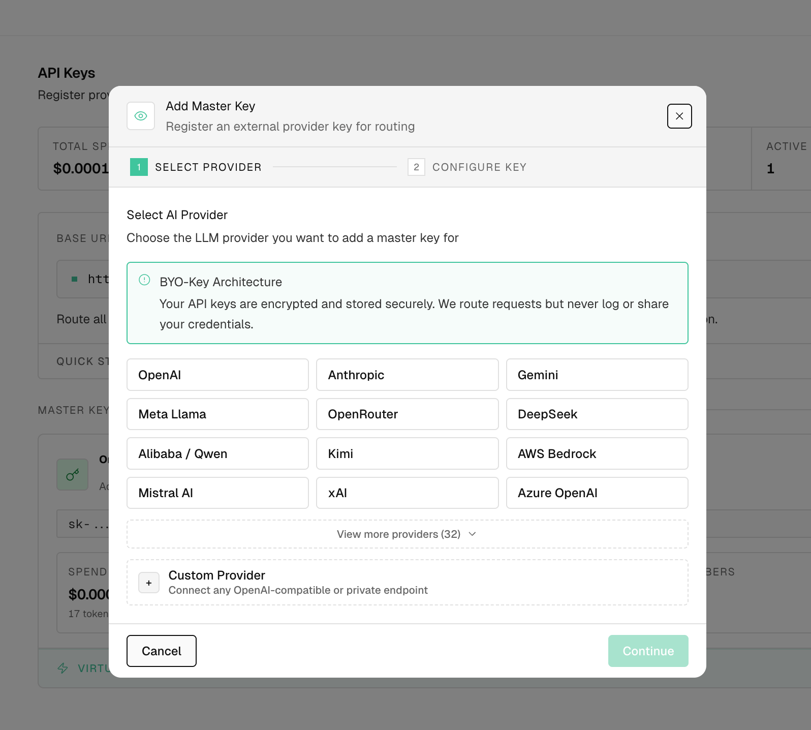 Add a provider API key