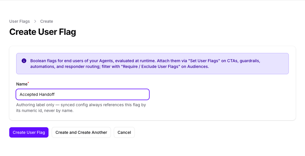 The Create User Flag form in Console, showing the explanatory notice and a single Name field filled in with Accepted Handoff.