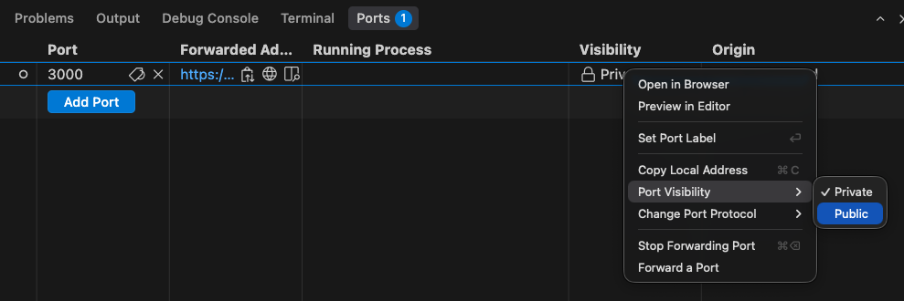 VS Code port visibility
