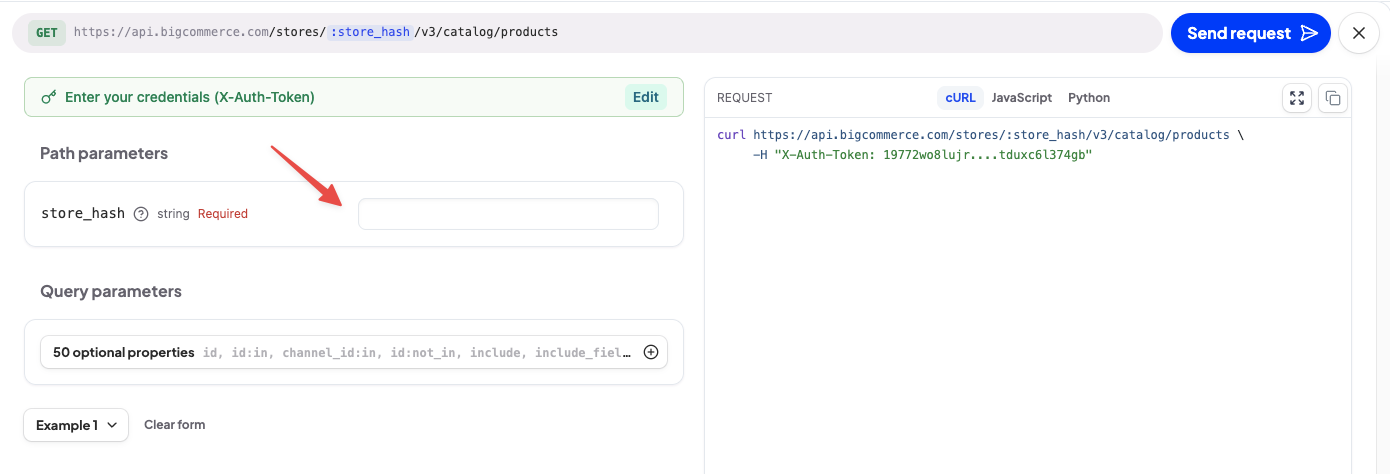 store_hash rendered as a dedicated path parameter input field in the API Explorer