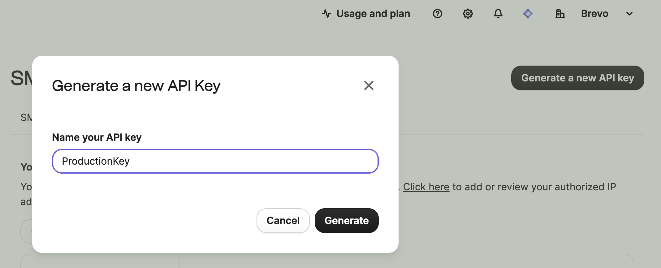 Name API key