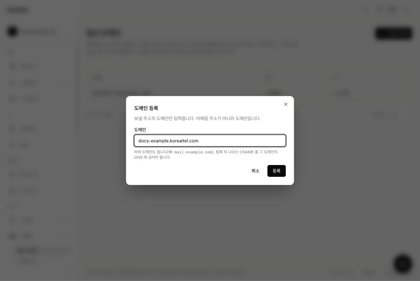 도메인 등록 화면