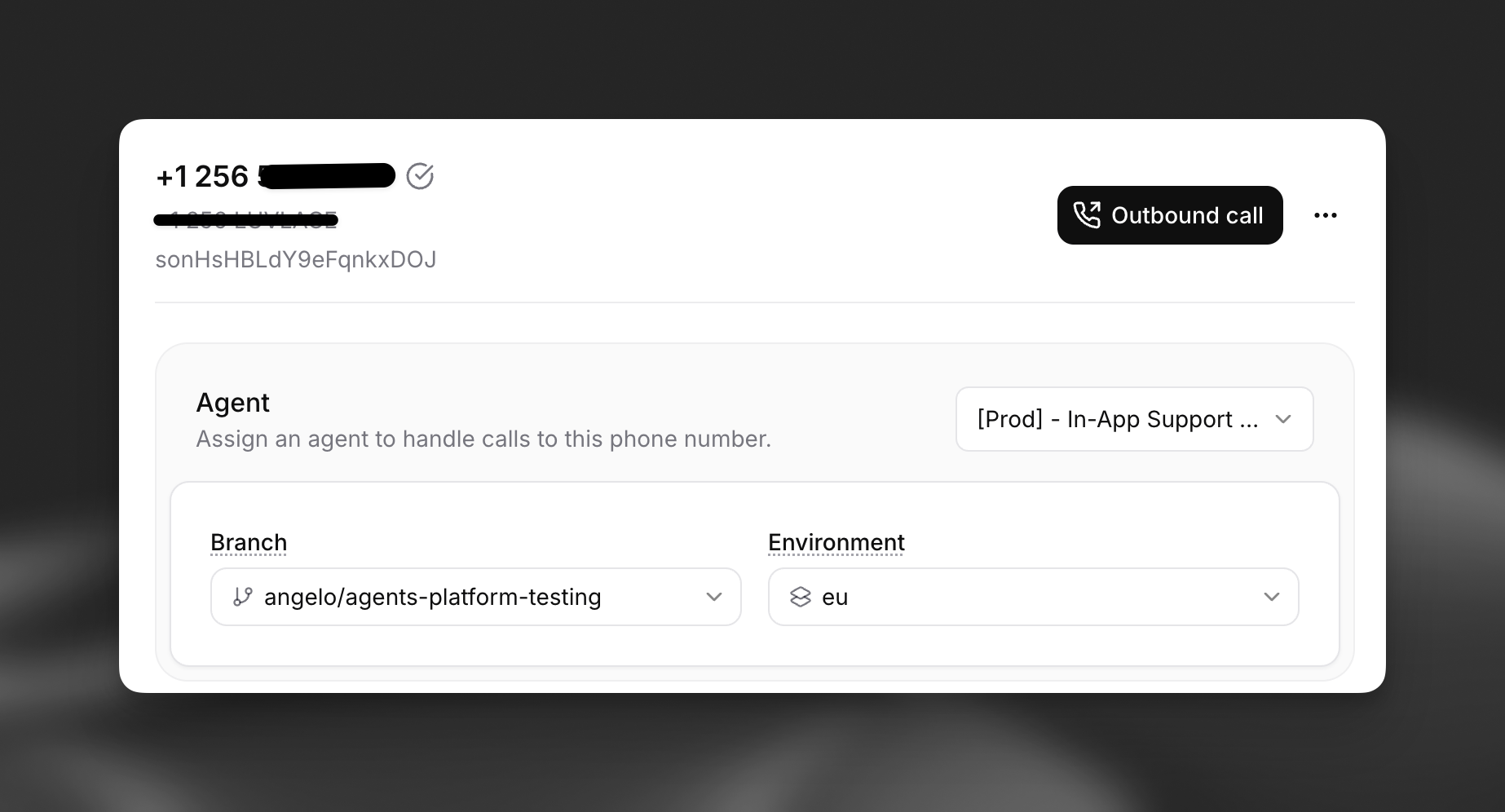 Phone number environment and branch
selectors