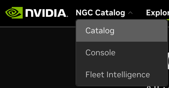 Selecting Fleet Intelligence from NGC Catalog.