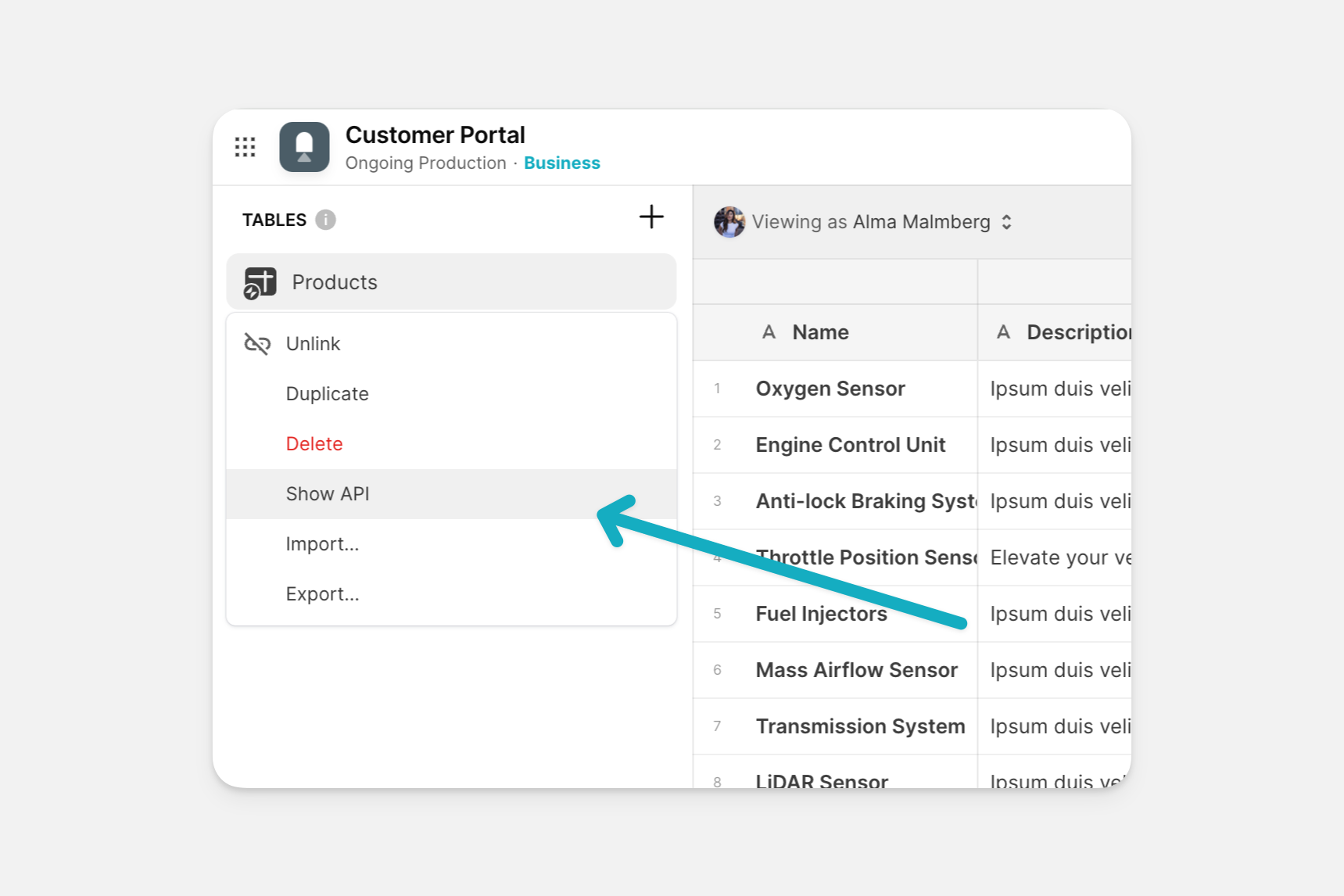 Show the API instructions screen.