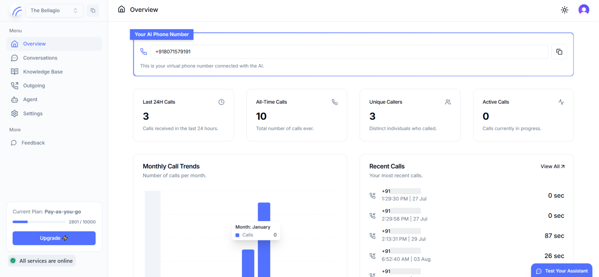 HollrAI dashboard overview page showing the account's virtual phone number, call volume metrics, and recent calls