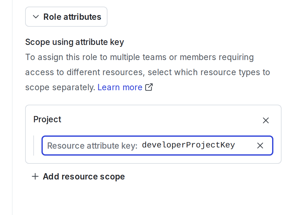 The "developerProjectKey" defined as a role attribute.