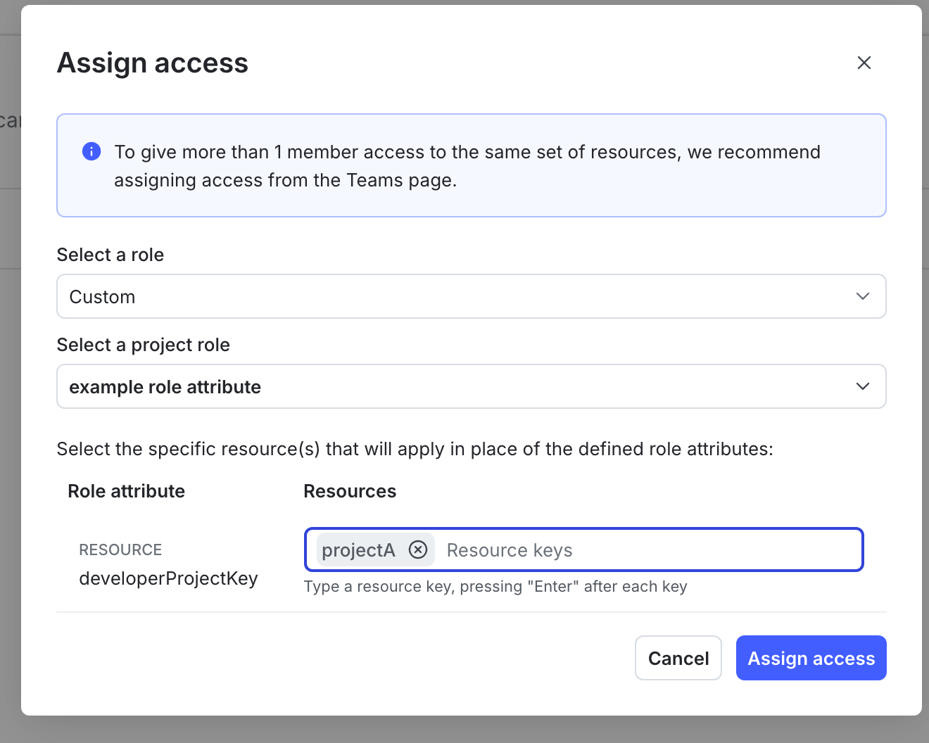 A member's "Assign access" dialog, with a role attribute and resource specified for the role being assigned to this member.
