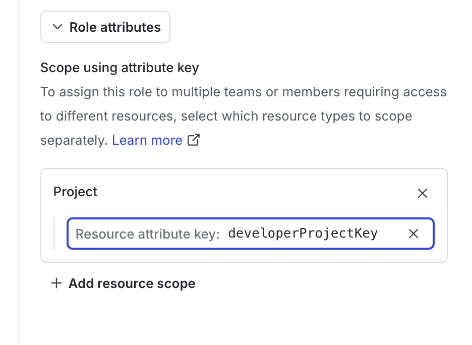 The "developerProjectKey" defined as a role attribute.