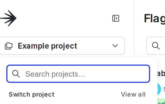 The project menu.