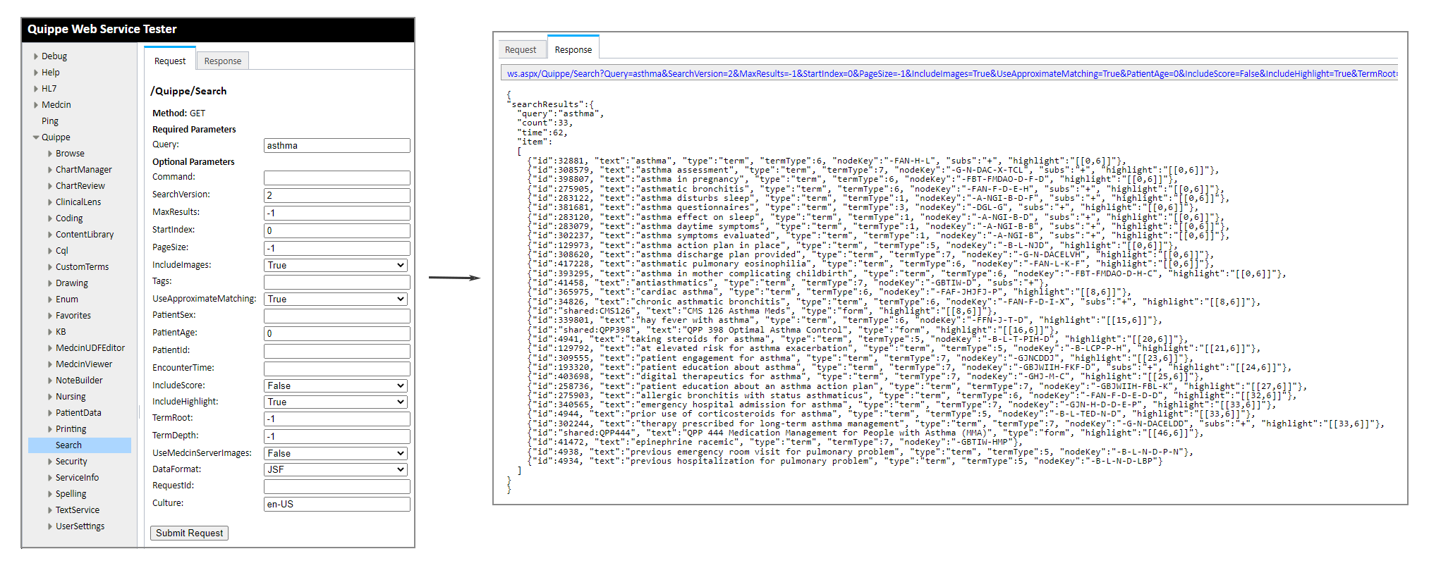 Search Web Service