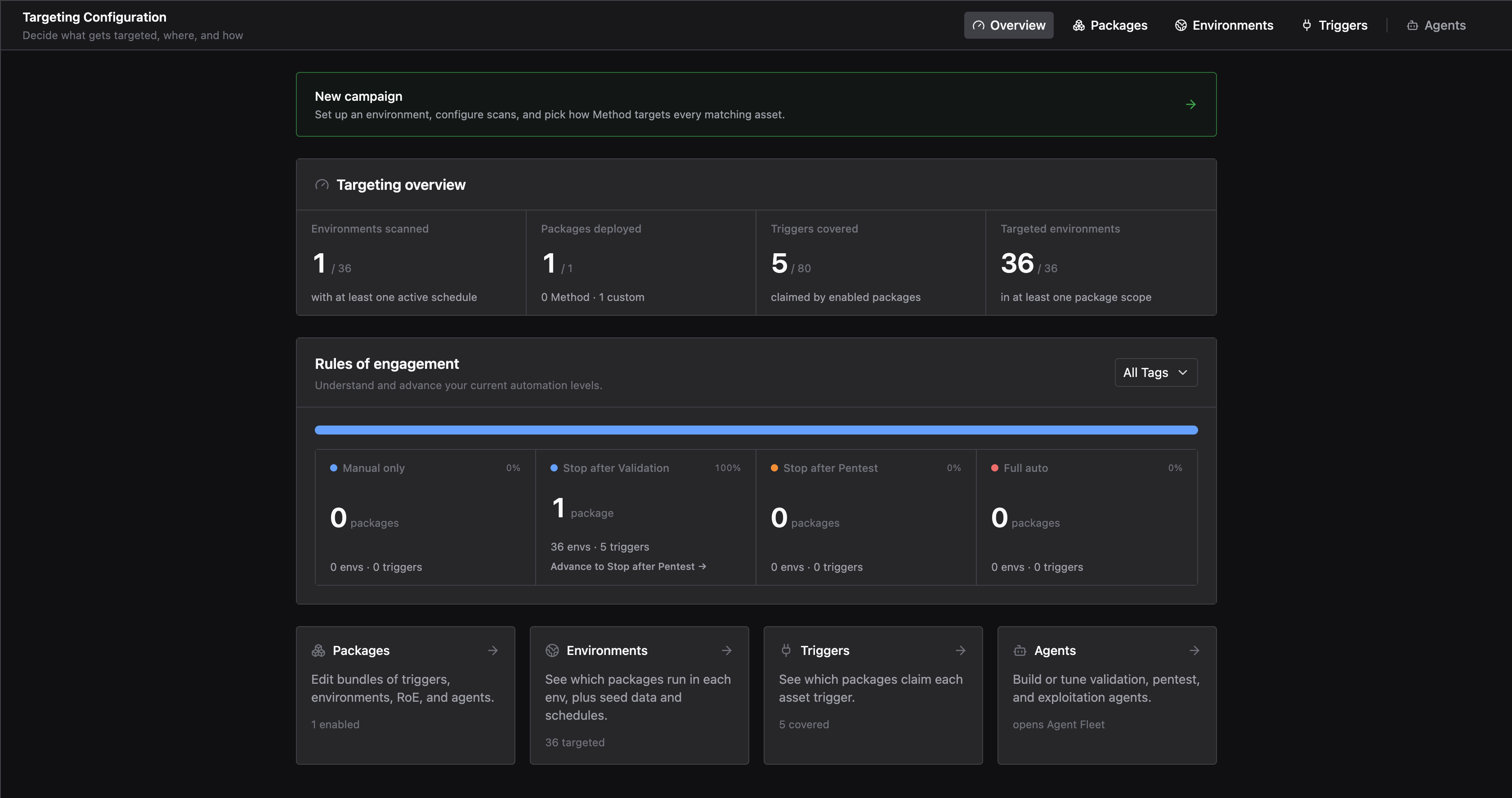 Targeting configuration tabs showing Overview, Rules of Engagement, Packages, Environments, and Triggers