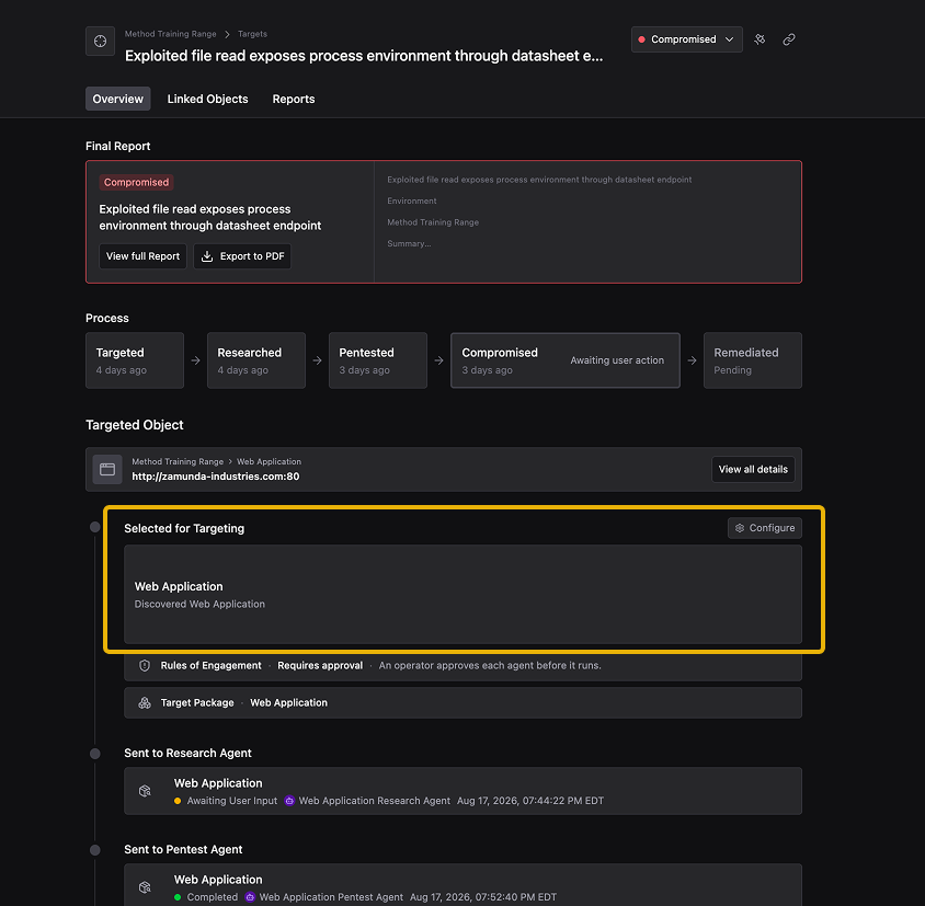 Target detail view showing the Selected for Targeting section with Web Application and Discovered Web Application Trigger highlighted.