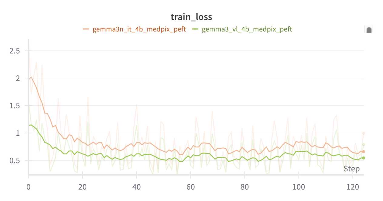Training Loss Curve