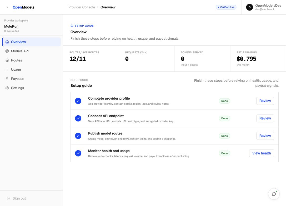 包含路由、在线路由、请求量、已处理 token、收入和设置指南的 Provider Console 概览