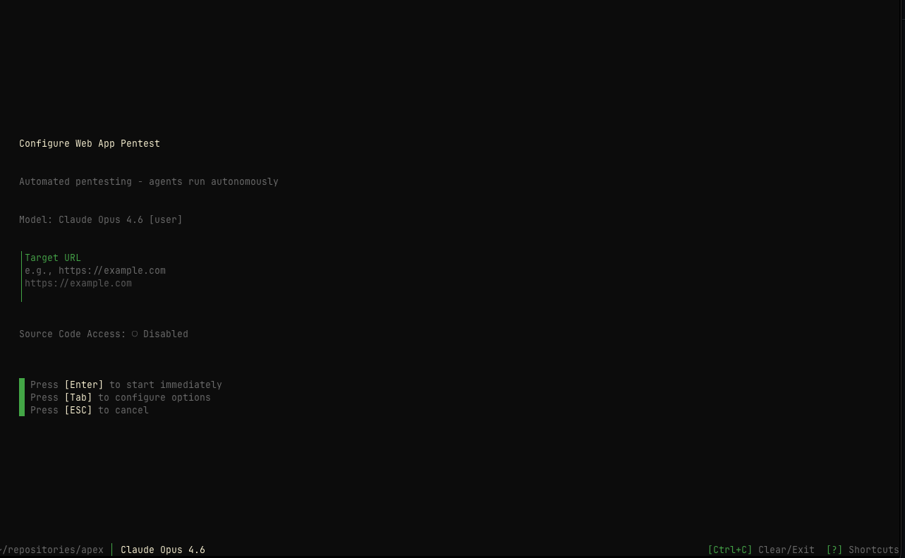 Pentest wizard — target configuration step