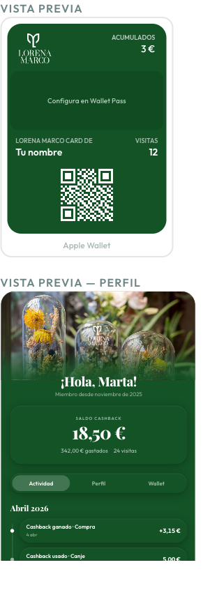 previsualización del pase personalizado con logo, colores y banner aplicados