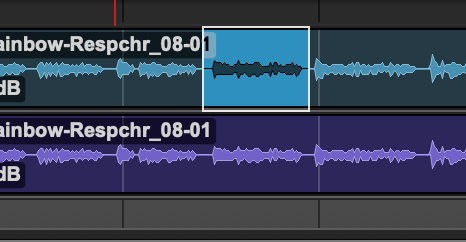 Selecting a region of audio in the Pro Tools timeline