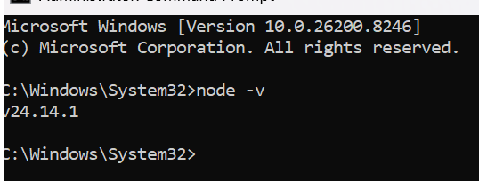 Node Version