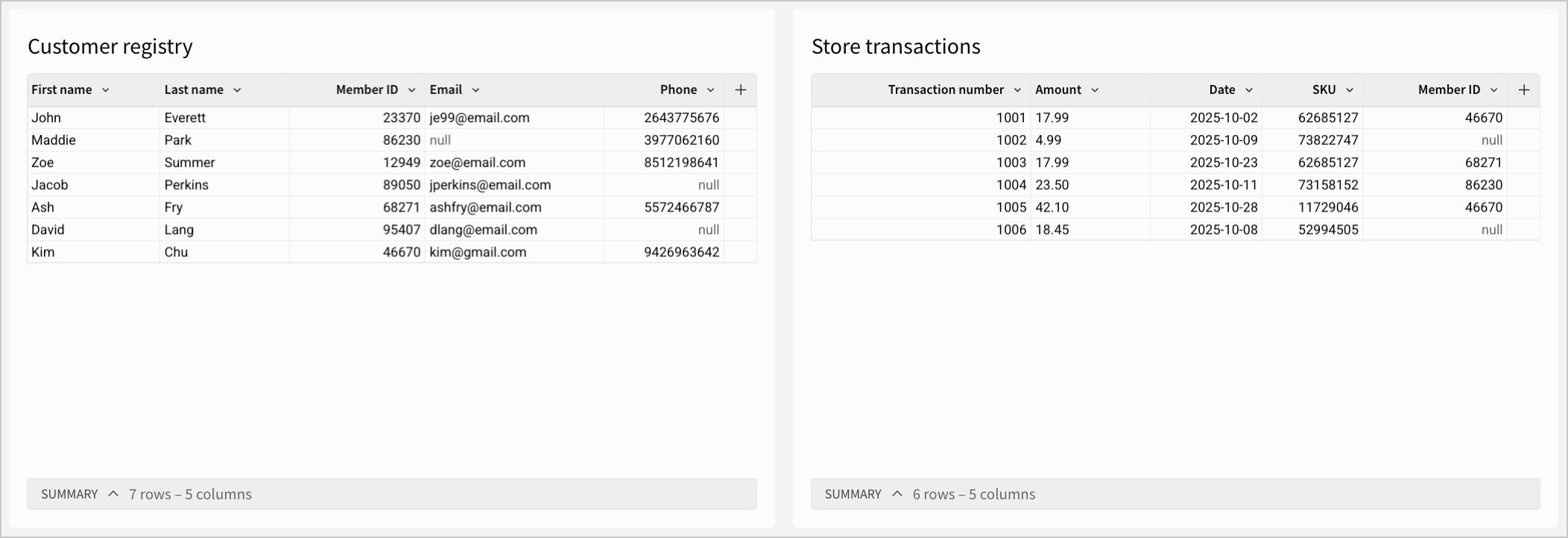 Customer registry and store transactions tables side by side.