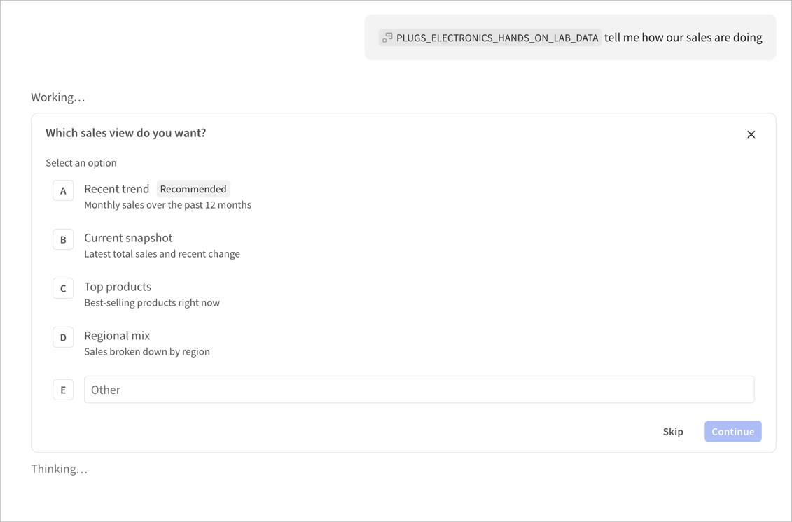 Clarifying prompt from Assistant: Which sales view do you want? with 4 labeled options: Recent trend, Current snapshot, Top products, and Regional mix with Skip and Continue buttons.