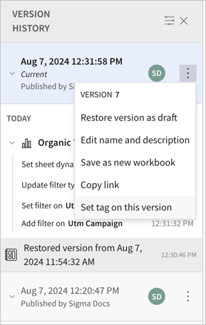 Version history with the More menu open on the current published version, showing options including Set tag on this version.