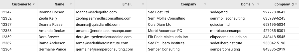 A workbook table showing the Domain column fully populated with company domain values alongside Customer Id, Name, Email, Company, and Company Id columns.