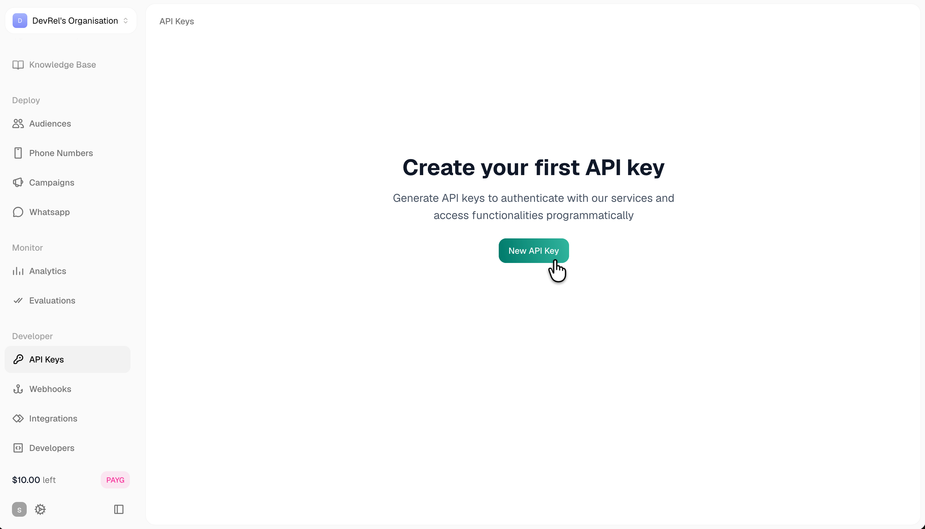 API Keys empty state showing the New API Key button