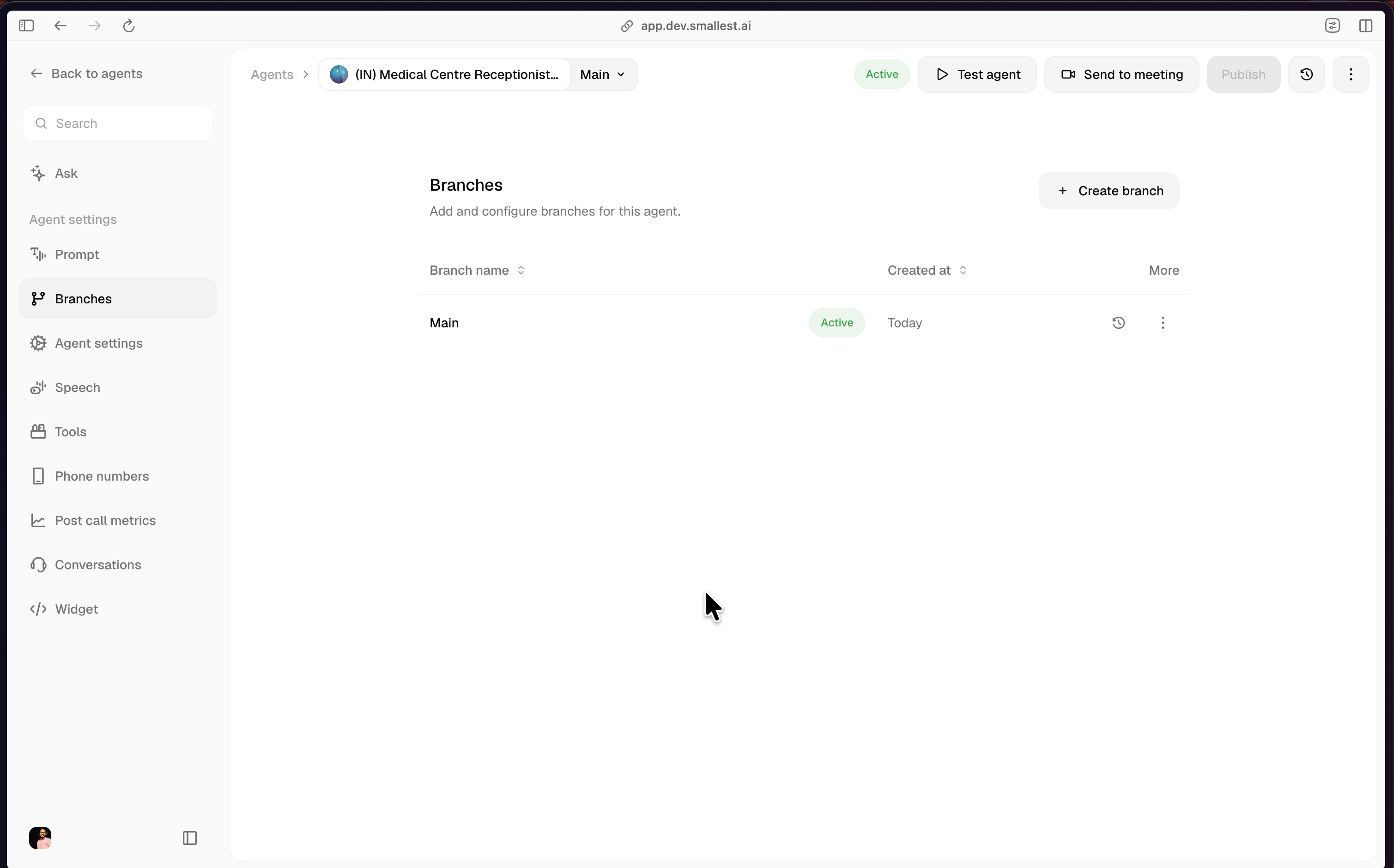 Branches page with Main only