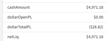 Account dashboard after auto-liquidation, showing netLiq below the calculated threshold