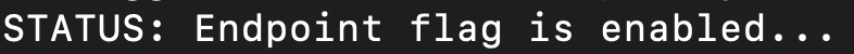 You can view the status of your flag in the Terminal from our log statements, which should read "STATUS: endpoint flag is enabled".