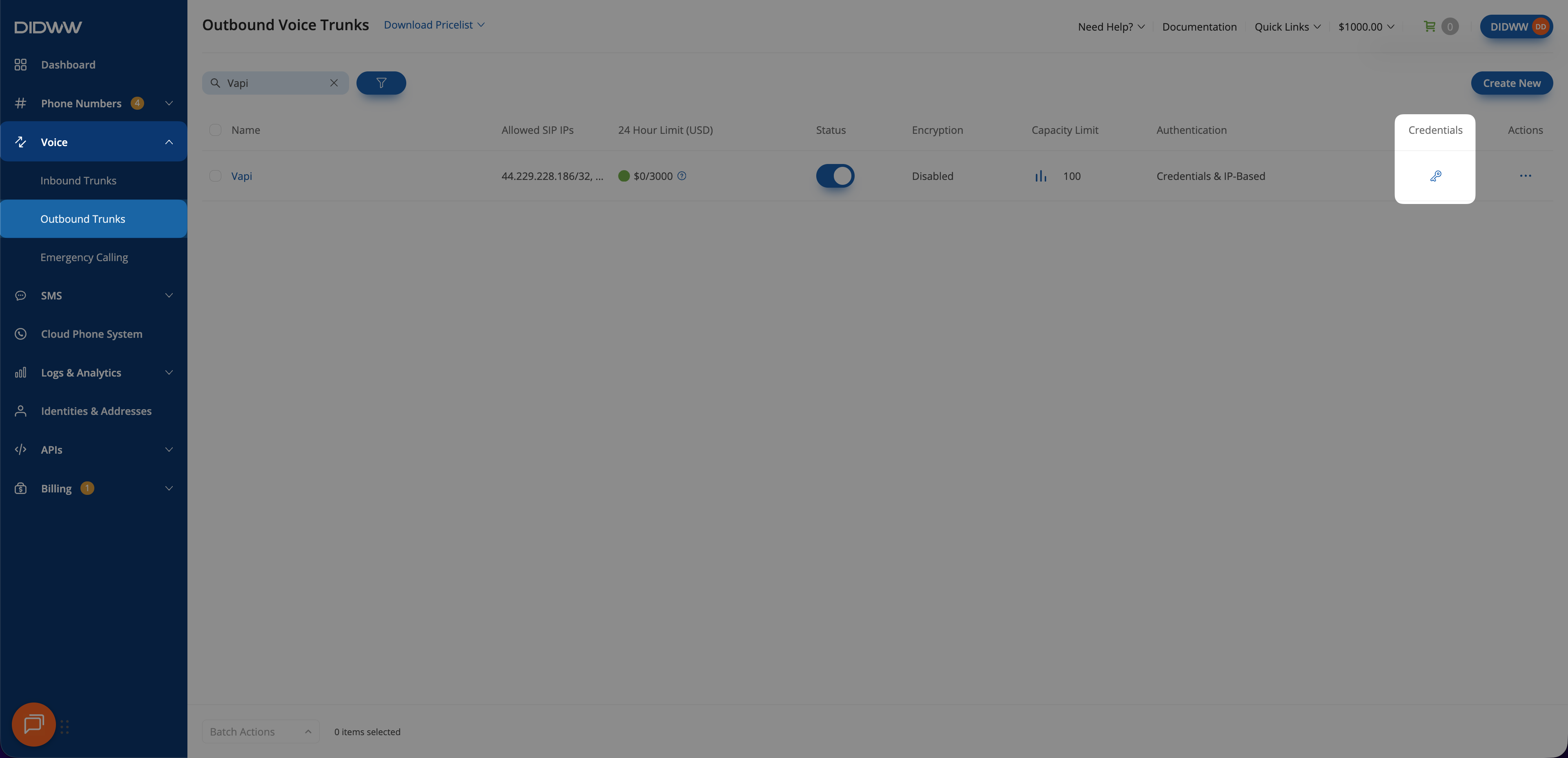 DIDWW outbound trunk credentials dialog showing the username and password fields